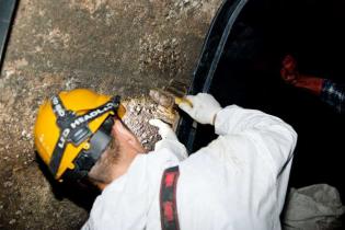 fot. Quality Studio dla www.inzynieria.com