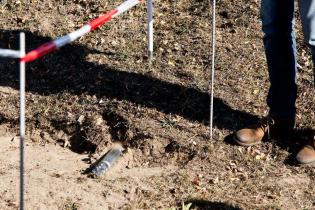 fot. Quality Studio dla www.inzynieria.com