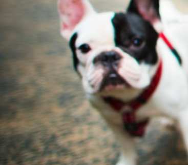 Przykładowy wpis avatar