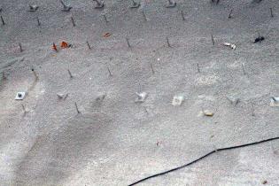 Fot. Monika Socha-Kośmider, inzynieria.com