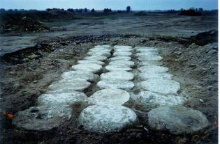 2. Pierwszy wiadukt drogowy (2002 r.) i pierwsza turbina wiatrowa na kolumnach DSM (2007 r.). 
Podczas budowy autostrady A2 na odcinku Buk–Nowy Tomyśl firma Keller Polska wykonała, w oparciu o własny projekt, pierwsze w Polsce i jedno z pierwszych na świ