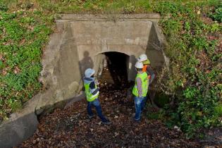 fot. Quality Studio dla www.inzynieria.com