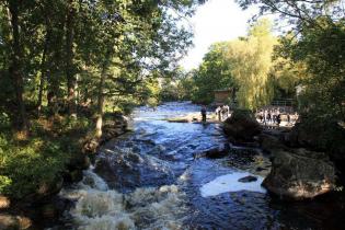 Zwiedzanie południowej Szwecji - Centrum połowu łososia MORRUM / fot. Quality Studio dla www.inzynieria.com