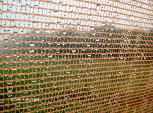 Projekt WarkaWater Tower. Źródło: The Warka Water V5