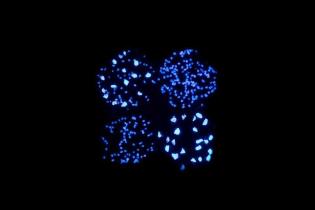 Świecąca ścieżka rowerowa. Źródło: TPA sp. z o.o.