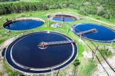 Zdjęcie tematu specjalnego