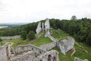 Wycieczka do Zamku Ogrodzienieckiego w Podzamczu. Fot. Quality Studio dla www.inzynieria.com