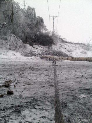 Fot. Archiwum Enion S.A.