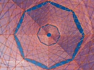 Projekt WarkaWater Tower. Źródło: The Warka Water V5