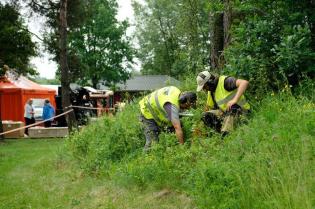 Przejście przez zarośla Fot. Quality Studio dla www.inzynieria.com