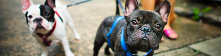 fot. Quality Studio dla www.inzynieria.com