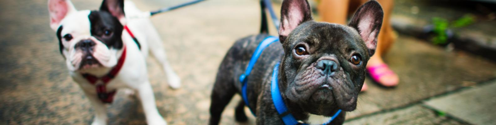 Zdjęcie fot. Quality Studio dla www.inzynieria.com