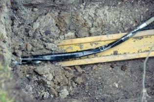 Fot. Quality Studio dla www.inzynieria.com