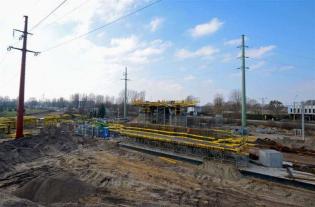 Fot. Jacek Smarz. Źródło: www.torun.pl