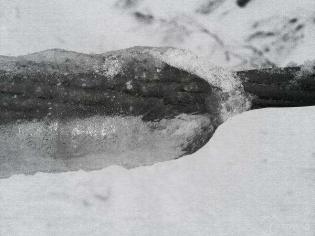 Fot. Archiwum Enion S.A.