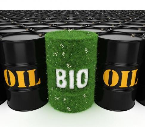 7 najdziwniejszych surowców do produkcji biopaliwa