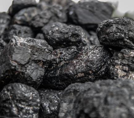 Mija rok od utworzenia PGG. Jaka będzie przyszłość?