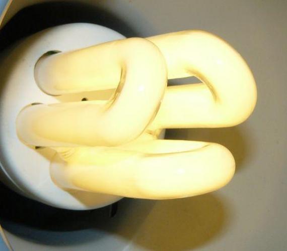 Fot. Teresa Borzęcka, inzynieria.com