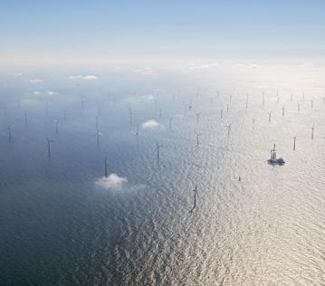 Holandia: działa już jedna z największych farm wiatrowych na świecie