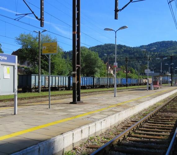 Fot. Andrzej Błaszczak/Wikimedia