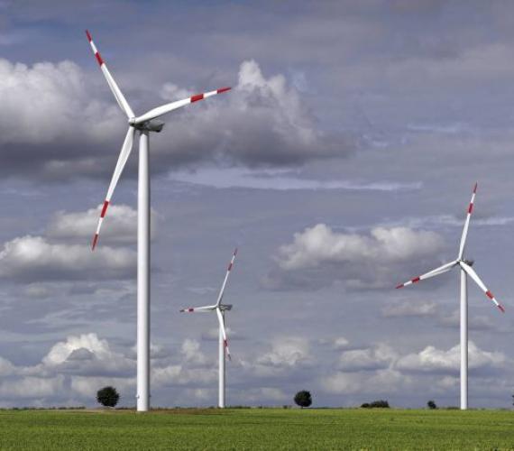 Fot. z archiwum Grayling