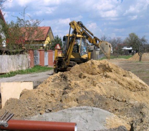 Fot. z archiwum ZWiK w Łomiankach