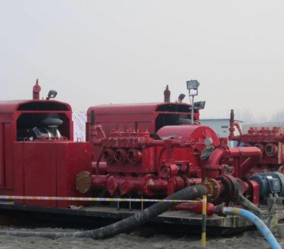 Fot. Prime Horizontal