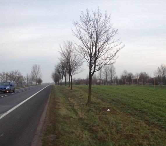 Prace archeologiczne na S5 /Fot. GDDKiA
 