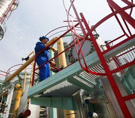 Fot. lupkipolskie.pl