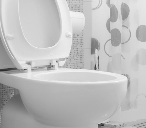 Wkrótce prąd będą produkować... toalety?