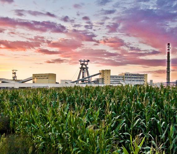 LW Bogdanka &ndash; rośnie wydobycie węgla