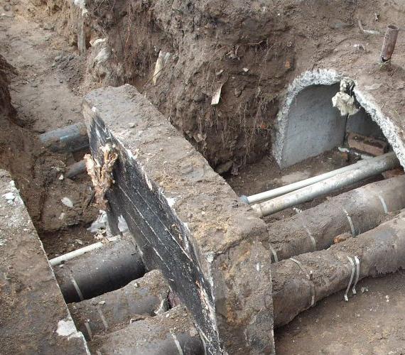 Fot. z archiwum Imago Public Relations