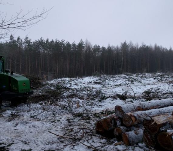 Rusza budowa trzech odcinków drogi S6. Fot. GDDKiA oddział w Szczecinie