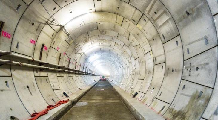 Fot. Paul Daniels / Shutterstock