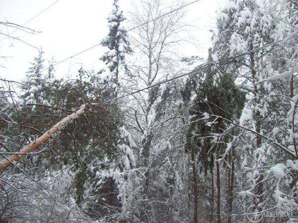 Fot. Archiwum Enion S.A.