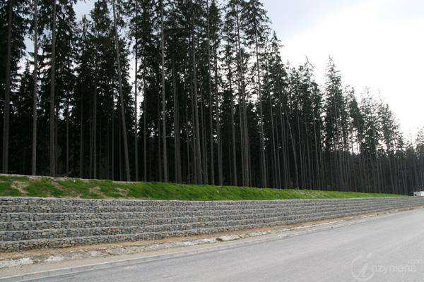 fot. Monika Socha-Kośmider, inzynieria.com