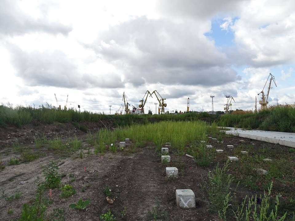 Fot. z archiwum Mars Most Brdowski sp. z o.o.