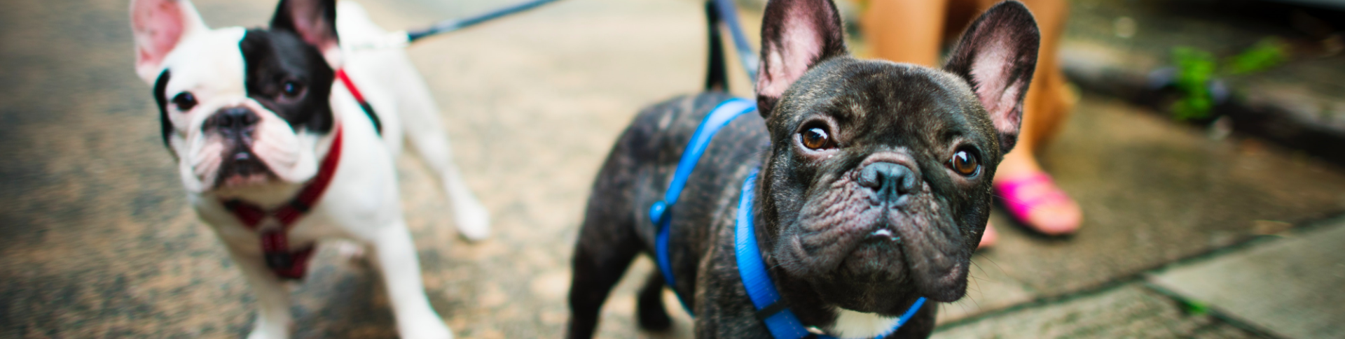 fot. <a href='http://www.quality-studio.com' target='_blank'>Quality Studio</a> dla www.inzynieria.com