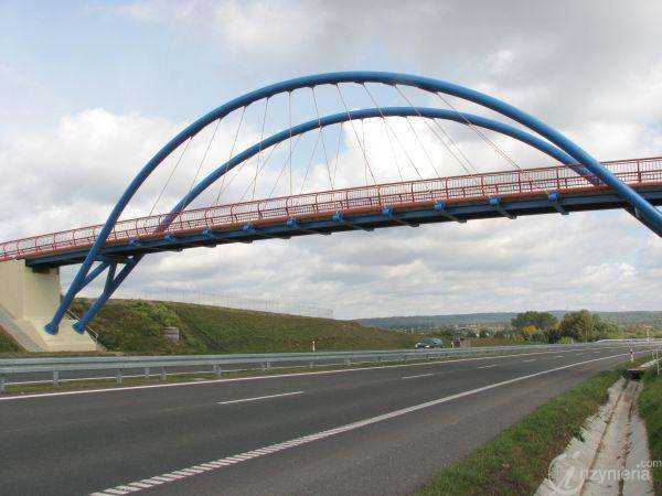 Fot. Tomasz Węgrowski