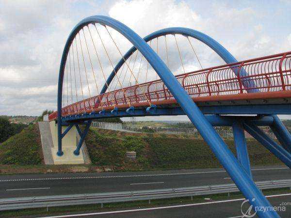 Fot. Tomasz Węgrowski