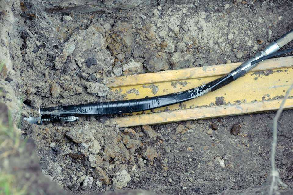 Fot. Quality Studio dla www.inzynieria.com