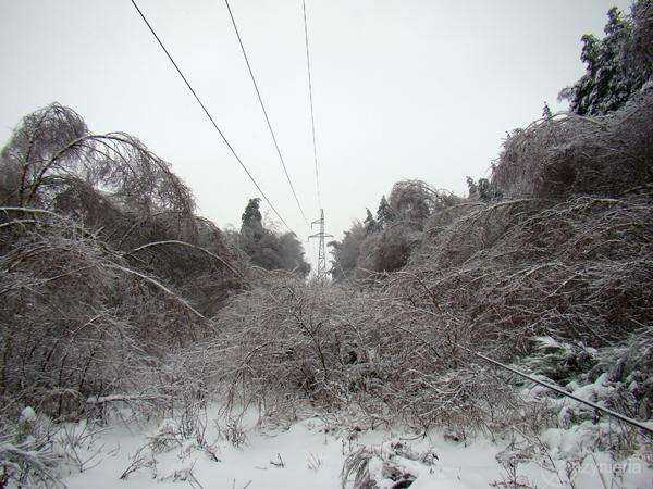 Fot. Archiwum Enion S.A.