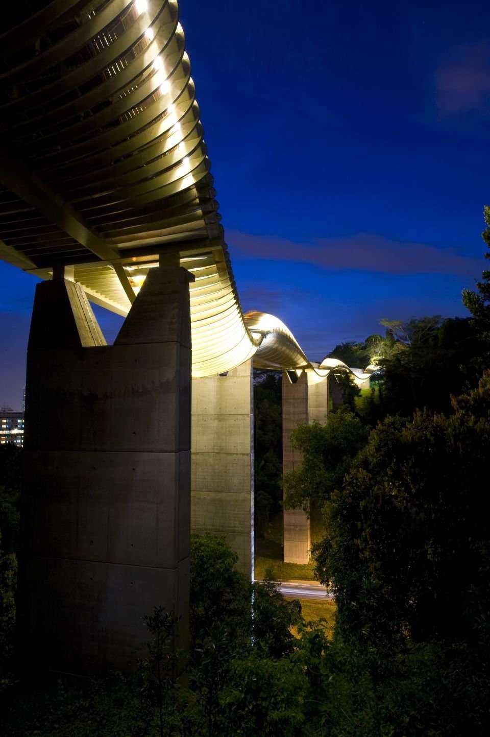 Henderson Waves  - most dla pieszych w Singapurze