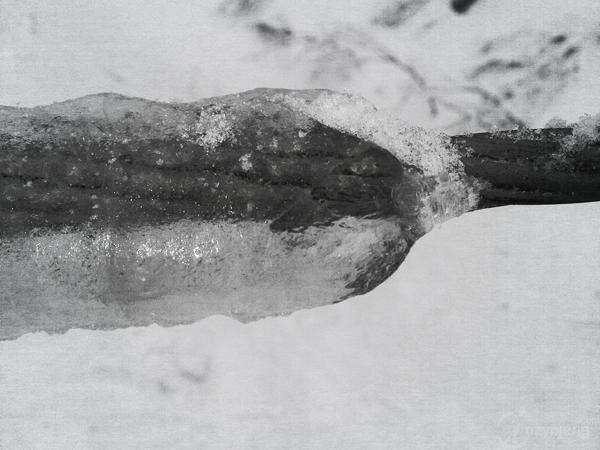 Fot. Archiwum Enion S.A.