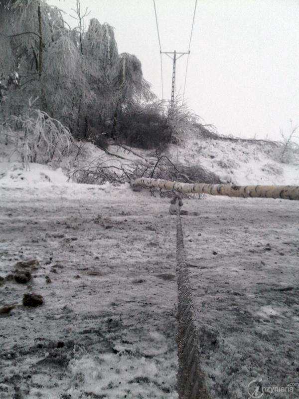 Fot. Archiwum Enion S.A.