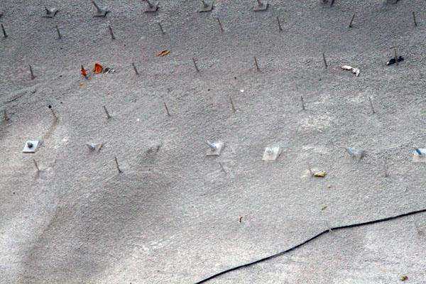 Fot. Monika Socha-Kośmider, inzynieria.com