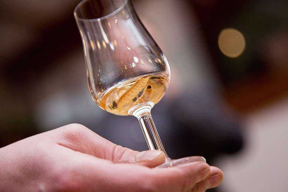 Kolacja wieczorna / fot. <a href='http://www.quality-studio.com' target='_blank'>Quality Studio</a> dla www.inzynieria.com