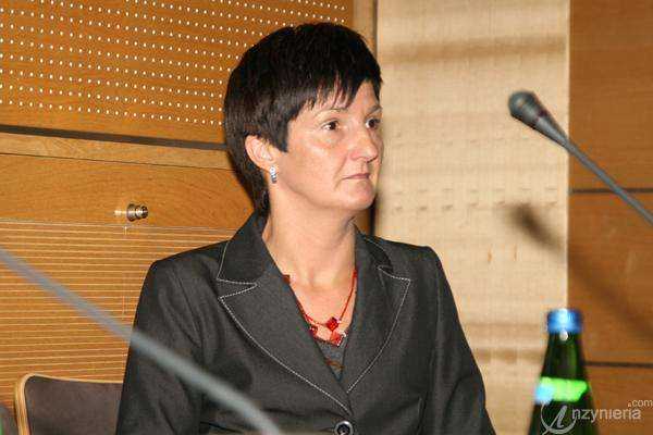 Fot. Paweł Kośmider, inzynieria.com